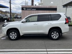 TOYOTA LAND CRUISER PRADO TX 2019 full
