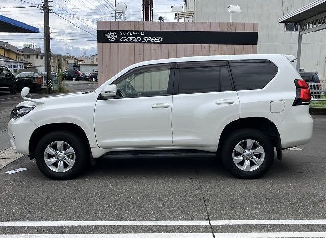 TOYOTA LAND CRUISER PRADO TX 2019 full