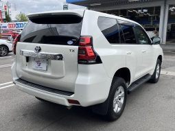 TOYOTA LAND CRUISER PRADO TX 2019 full