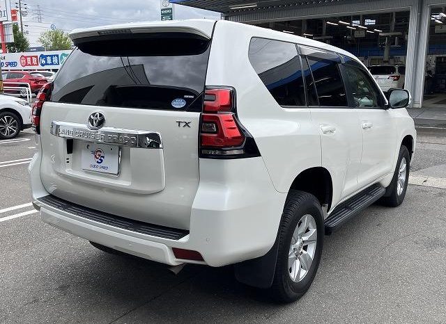 TOYOTA LAND CRUISER PRADO TX 2019 full