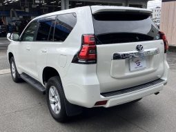 TOYOTA LAND CRUISER PRADO TX 2019 full