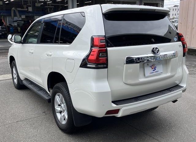 TOYOTA LAND CRUISER PRADO TX 2019 full