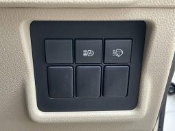 TOYOTA LAND CRUISER PRADO TX 2019 full