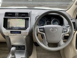 TOYOTA LAND CRUISER PRADO TX 2019 full