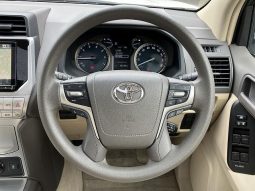 TOYOTA LAND CRUISER PRADO TX 2019 full