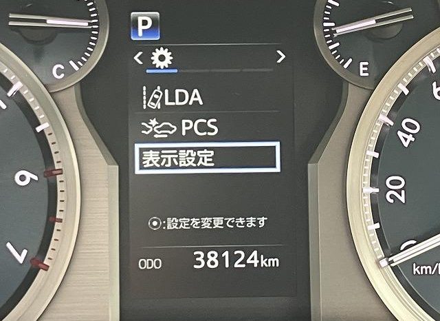 TOYOTA LAND CRUISER PRADO TX 2019 full