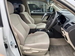 TOYOTA LAND CRUISER PRADO TX 2019 full