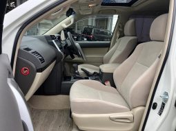 TOYOTA LAND CRUISER PRADO TX 2019 full