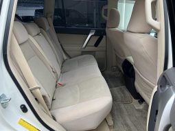 TOYOTA LAND CRUISER PRADO TX 2019 full