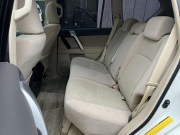 TOYOTA LAND CRUISER PRADO TX 2019 full