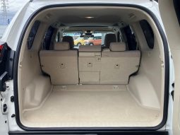 TOYOTA LAND CRUISER PRADO TX 2019 full