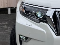 TOYOTA LAND CRUISER PRADO TX 2019 full