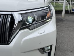 TOYOTA LAND CRUISER PRADO TX 2019 full