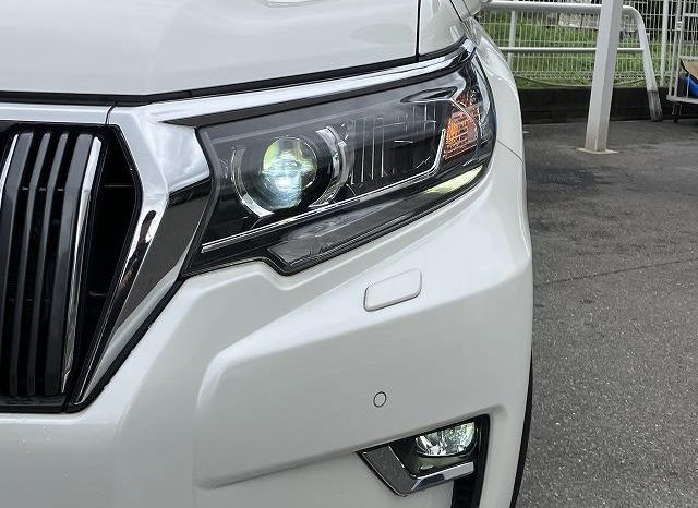 TOYOTA LAND CRUISER PRADO TX 2019 full