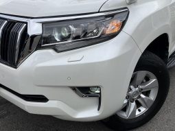 TOYOTA LAND CRUISER PRADO TX 2019 full