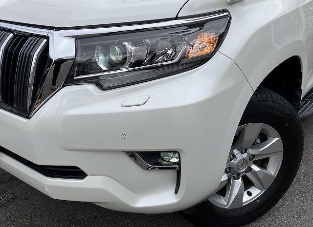 TOYOTA LAND CRUISER PRADO TX 2019 full