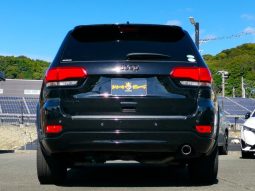 CHRYSLER JEEP JEEP GRAND CHEROKEE ALTITUDE 2019 full