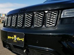 CHRYSLER JEEP JEEP GRAND CHEROKEE ALTITUDE 2019 full