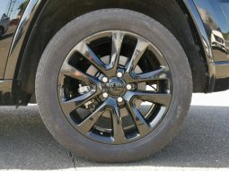 CHRYSLER JEEP JEEP GRAND CHEROKEE ALTITUDE 2019 full