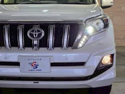 TOYOTA LAND CRUISER PRADO TX L PACKAGE 2015 full