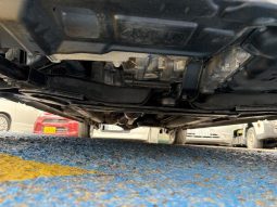 NISSAN DAYZ X 2019 full