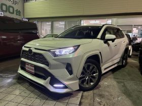 TOYOTA RAV4 G Z PACKAGE 2019
