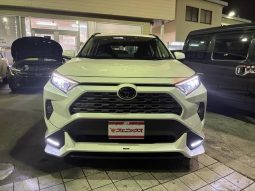 TOYOTA RAV4 G Z PACKAGE 2019 full