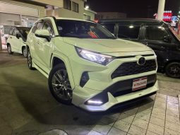 TOYOTA RAV4 G Z PACKAGE 2019 full