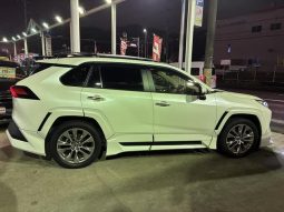 TOYOTA RAV4 G Z PACKAGE 2019 full