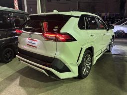 TOYOTA RAV4 G Z PACKAGE 2019 full