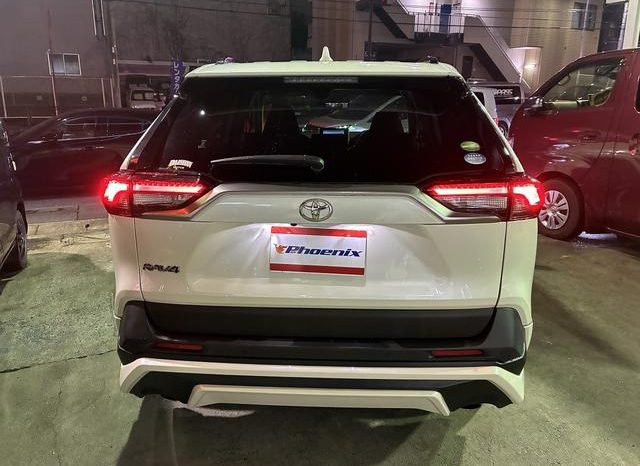 TOYOTA RAV4 G Z PACKAGE 2019 full