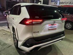 TOYOTA RAV4 G Z PACKAGE 2019 full