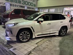 TOYOTA RAV4 G Z PACKAGE 2019 full