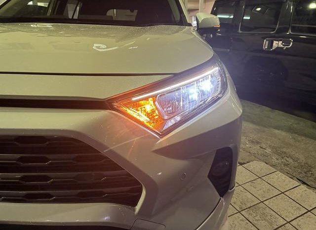 TOYOTA RAV4 G Z PACKAGE 2019 full