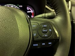 TOYOTA RAV4 G Z PACKAGE 2019 full