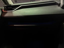 TOYOTA RAV4 G Z PACKAGE 2019 full