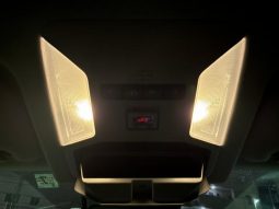 TOYOTA RAV4 G Z PACKAGE 2019 full