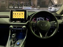 TOYOTA RAV4 G Z PACKAGE 2019 full
