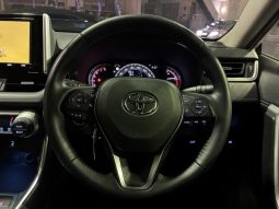 TOYOTA RAV4 G Z PACKAGE 2019 full
