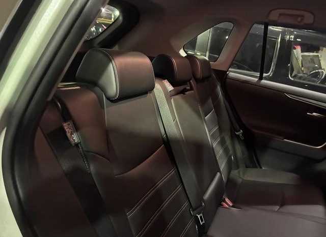 TOYOTA RAV4 G Z PACKAGE 2019 full