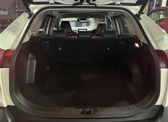 TOYOTA RAV4 G Z PACKAGE 2019 full