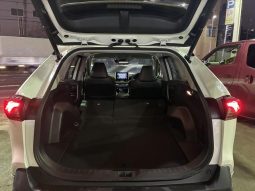TOYOTA RAV4 G Z PACKAGE 2019 full