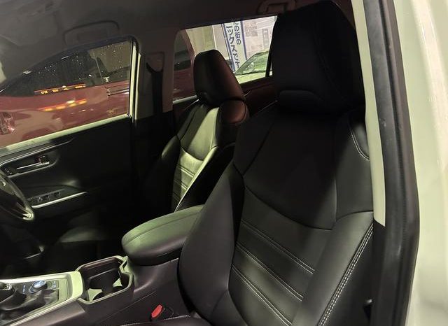 TOYOTA RAV4 G Z PACKAGE 2019 full