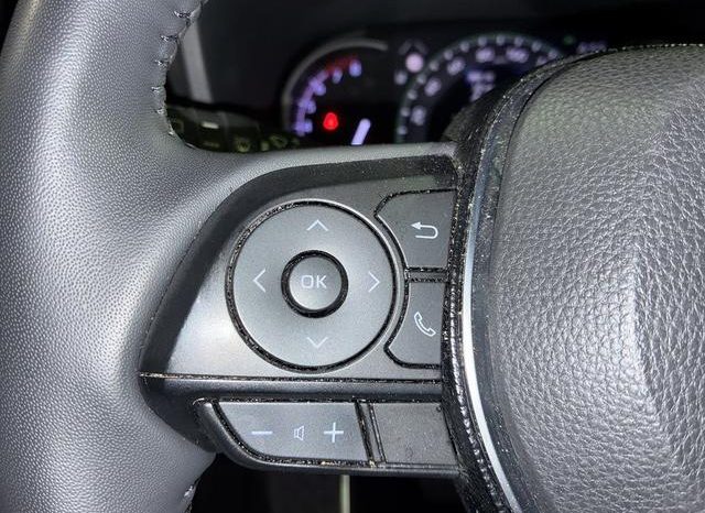 TOYOTA RAV4 G Z PACKAGE 2019 full