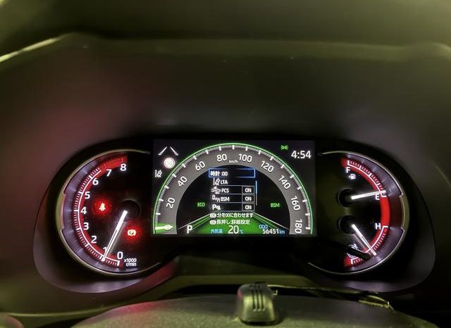 TOYOTA RAV4 G Z PACKAGE 2019 full