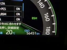 TOYOTA RAV4 G Z PACKAGE 2019 full