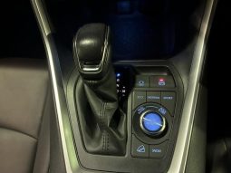 TOYOTA RAV4 G Z PACKAGE 2019 full