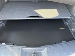 NISSAN X-TRAIL 20X EMERGENCY BRAKE PACKAGE 2016 full