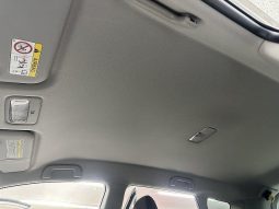 TOYOTA RACTIS S 2013 full