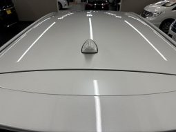 TOYOTA RACTIS S 2013 full